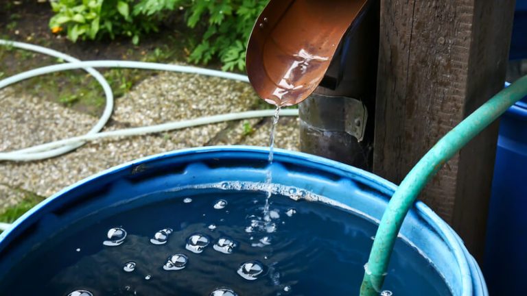 Regenwater opvangen en hergebruiken in de tuin